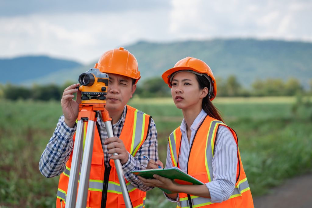 land surveying for dummies