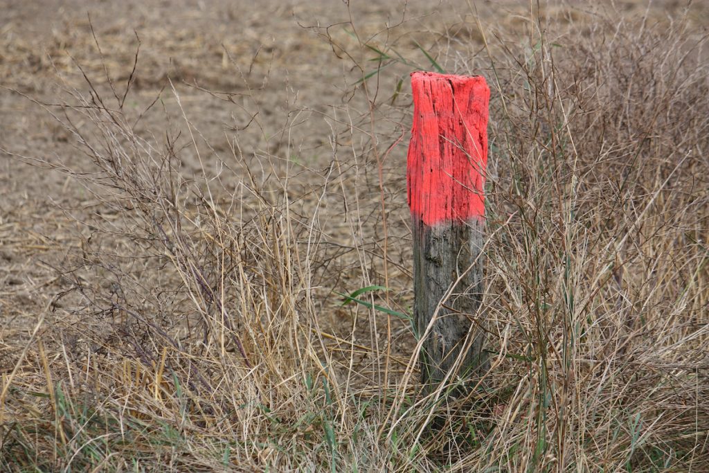 orange flag markers land surveying salt lake city utah