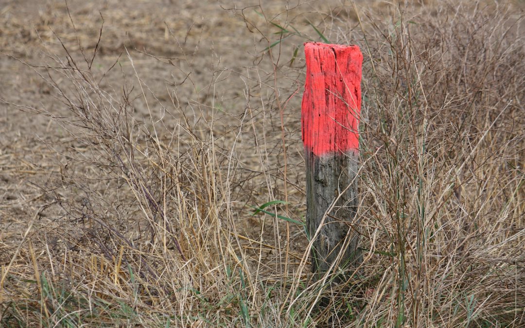 Understanding Orange Flag Markers in Land Surveying