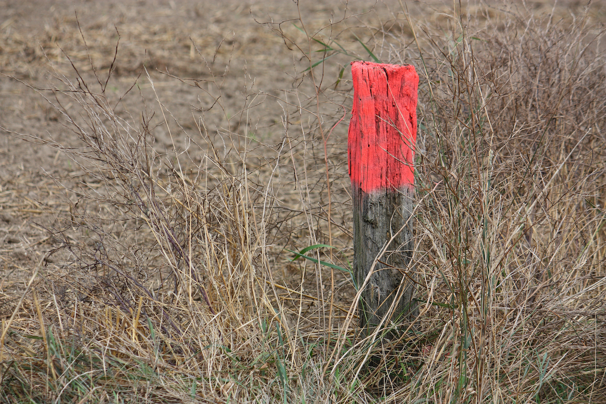 orange flag markers land surveying salt lake city utah